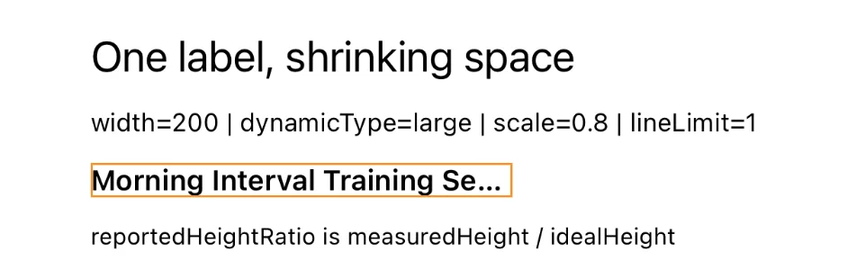 Morning Interval Training Session in a 200 point container at scale 0.8: drawn smaller and still truncated.